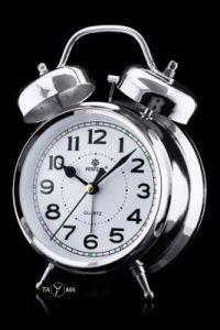 BUDZIK PERFECT Q868 - silver (do013a)