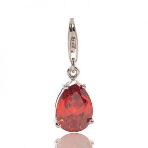 Charms H-0618
