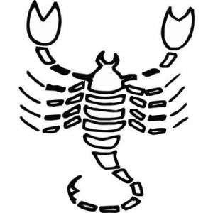 Grawer Specjalny-Znak Zodiaku 8-1-5